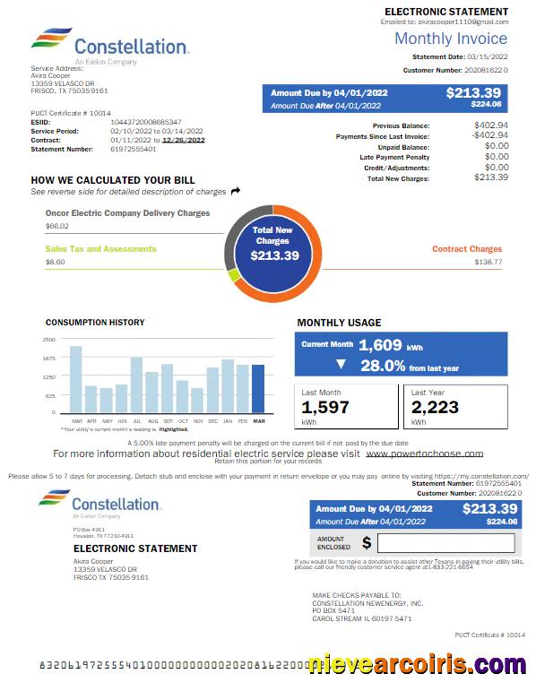 USA CONSTELLATION utility bill